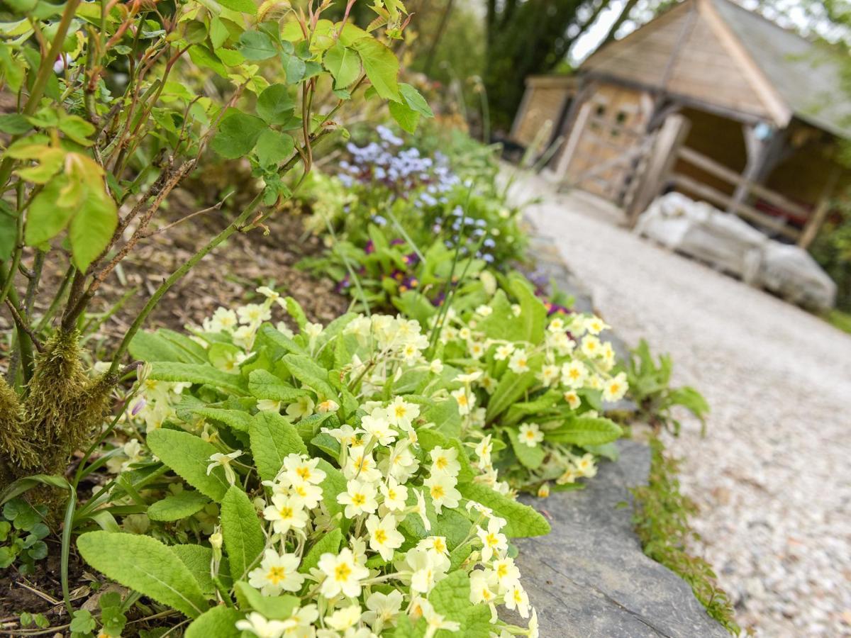 Mimi'S Cottage リスカード エクステリア 写真